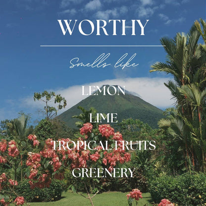 Worthy | Volcanic Island | 2.4 oz. Soy Wax Melt
