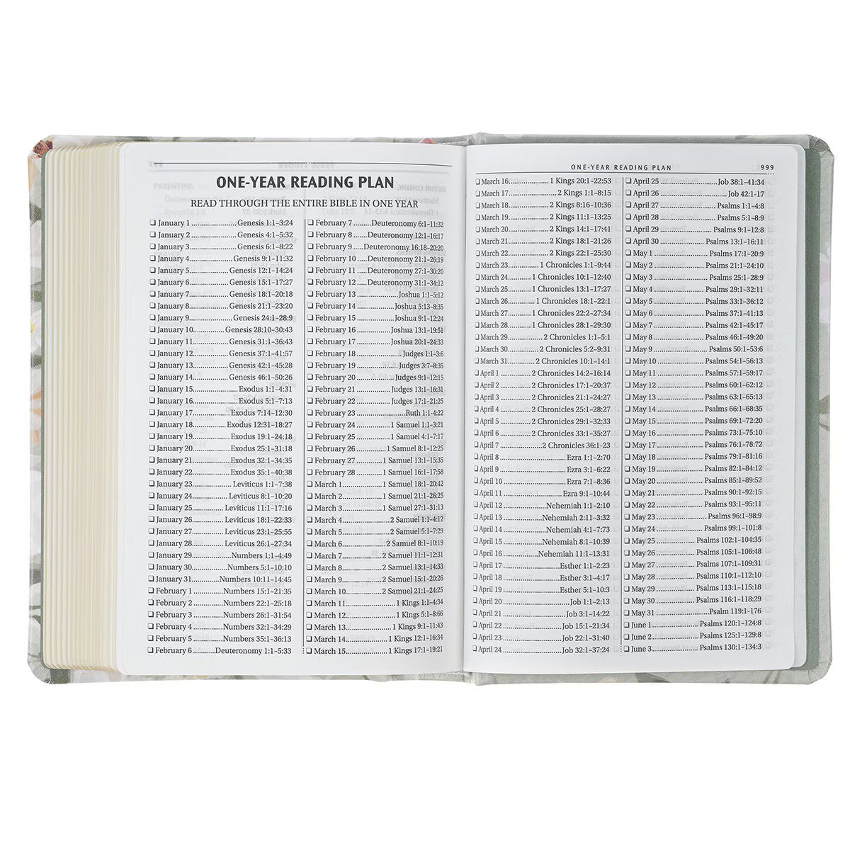 Compact Gray Floral KJV Bible