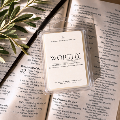 Worthy | Volcanic Island | 2.4 oz. Soy Wax Melt